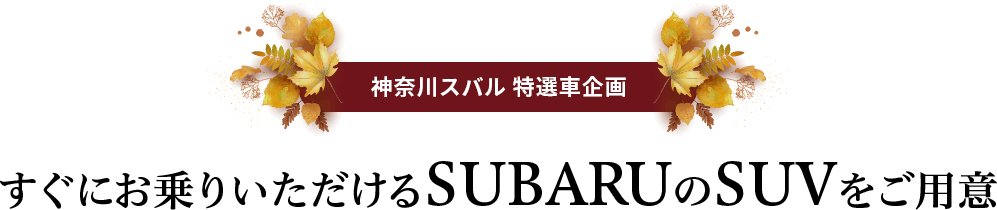 神奈川スバル 特選車企画 すぐお乗りいただけるSUBARUのSUVをご用意