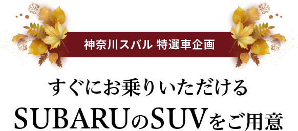 神奈川スバル 特選車企画 すぐお乗りいただけるSUBARUのSUVをご用意