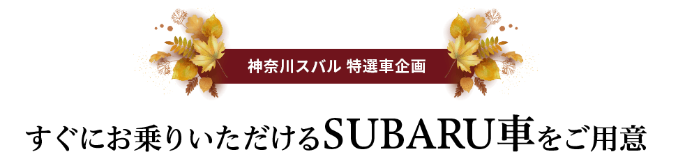 神奈川スバル特選車企画 すぐにお乗りいただけるSUBARUのSUVをご用意