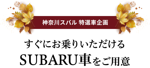 神奈川スバル特選車企画 すぐにお乗りいただけるSUBARUのSUVをご用意