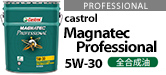 Magnatec Professional 5W-30 API:SN